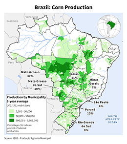 images\BR\cropprod\Brazil_Total_Corn_preview.png